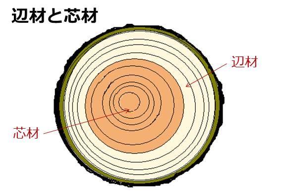 家具 インテリアの基礎知識 木材の話 その3 Domani ドマーニ カリモク家具の最高峰インテリアブランド
